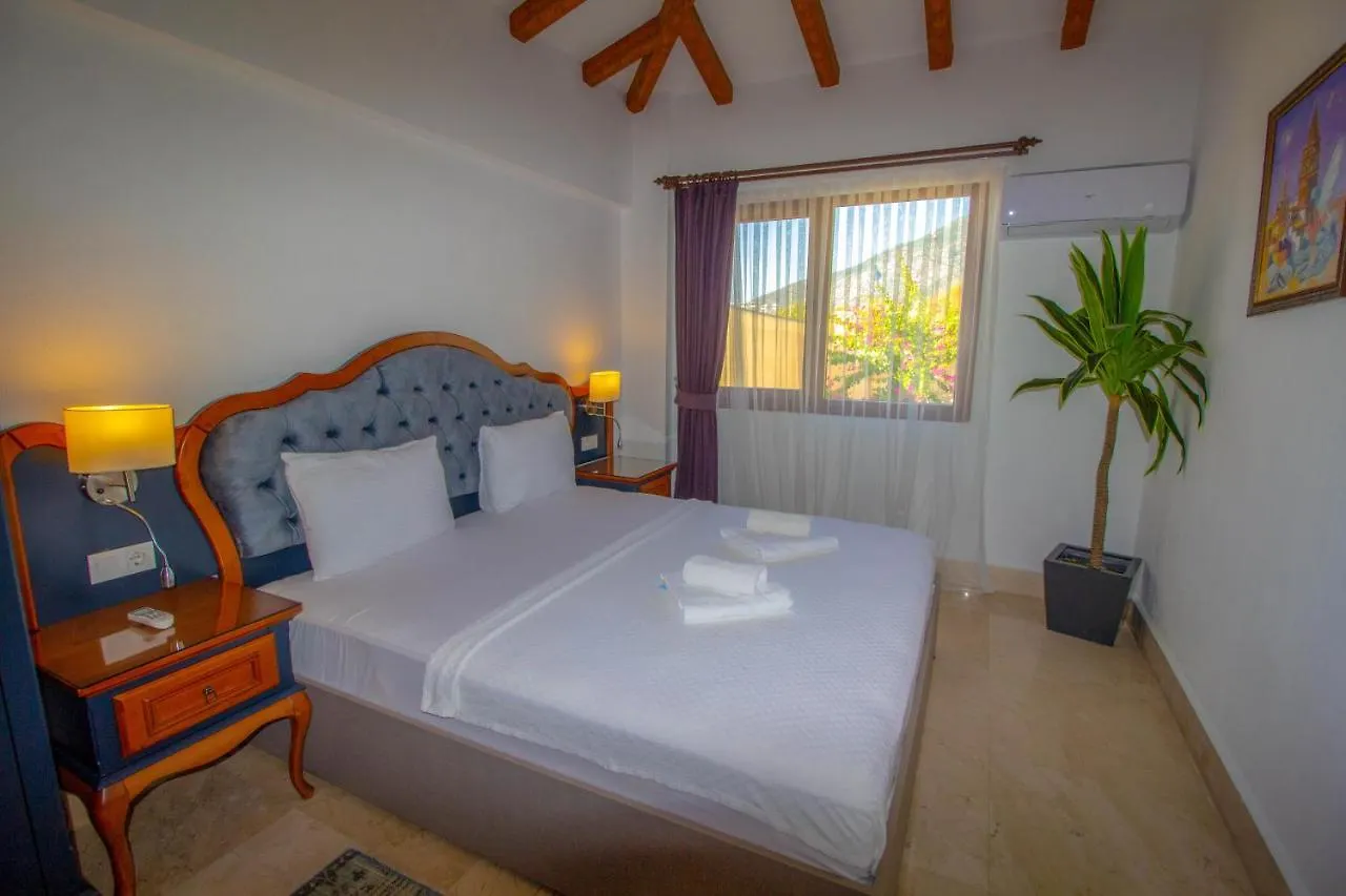 ヴィラ Patara Deluxe 3+1 Villa, Oezel Havuzlu, フェティエ トルコ