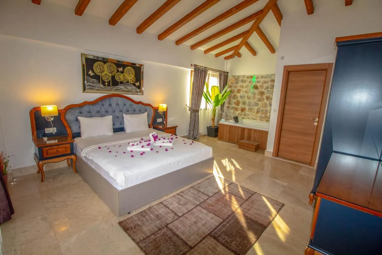 Patara Deluxe 3+1 Villa, Oezel Havuzlu, フェティエ