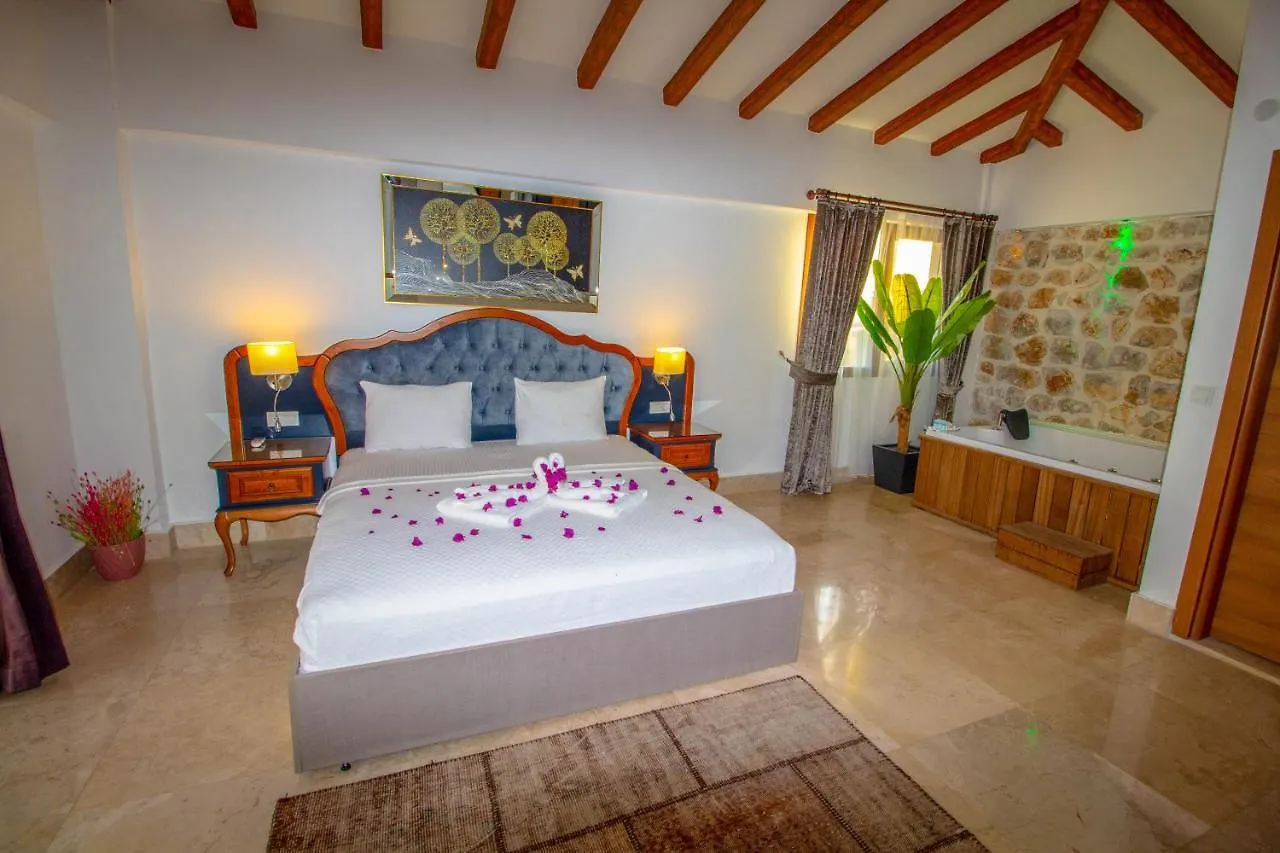 ヴィラ Patara Deluxe 3+1 Villa, Oezel Havuzlu, フェティエ